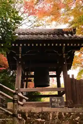 大悲閣千光寺(京都府)