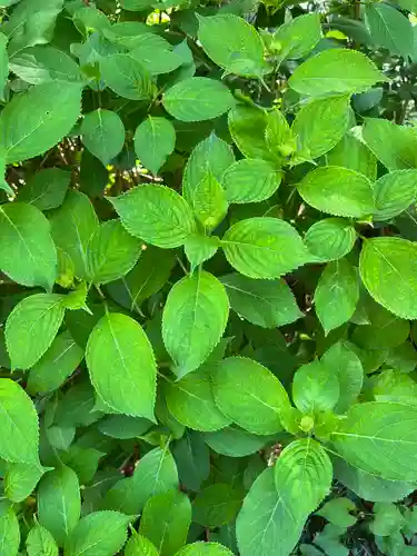 磯山神社(栃木県)