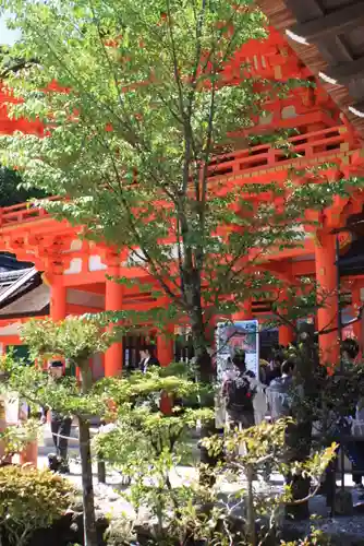 賀茂別雷神社（上賀茂神社）(京都府)