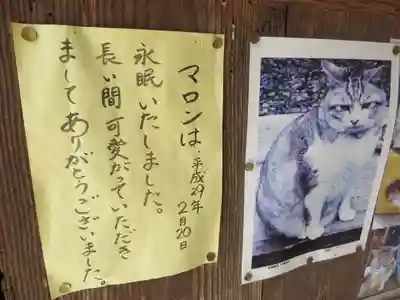 日龍峯寺(高澤観音)(美濃清水)(岐阜県)