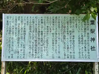 葉梨神社(静岡県)