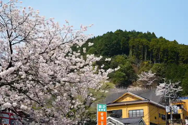 高塚愛宕地蔵尊の自然