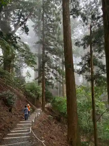 玉置神社の{uncategorized: "未分類", other: "その他", undefined: "問題あり", building: "その他建物", grave: "お墓", sacred_gate: "鳥居", guardian: "狛犬", statue: "像", buddha: "仏像", history: "歴史", nature: "自然", garden: "庭園", animal: "動物", pagoda: "塔", temizu: "手水舎", mountain_gate: "山門・神門", sanctuary: "本殿・本堂", subordinate: "末社・摂社", art: "芸術", scenery: "景色", jizo: "地蔵", ema: "絵馬", goshuin: "御朱印", omikuji: "おみくじ", items: "授与品その他", amulet: "お守り", goshuincho: "御朱印帳", eats: "食事", festival: "お祭り", votive_dance: "神楽", shichigosan: "七五三参", wedding: "結婚式", experience: "体験その他", initially: "初詣", around: "周辺", anti_infection: "感染症対策"}