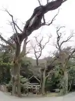 天石門別安国玉主天神社の自然