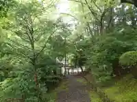 八坂神社・境内社川枯社の自然