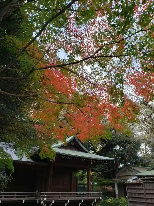 渋谷氷川神社(東京都)