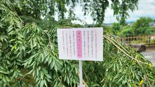 身照寺(岩手県)