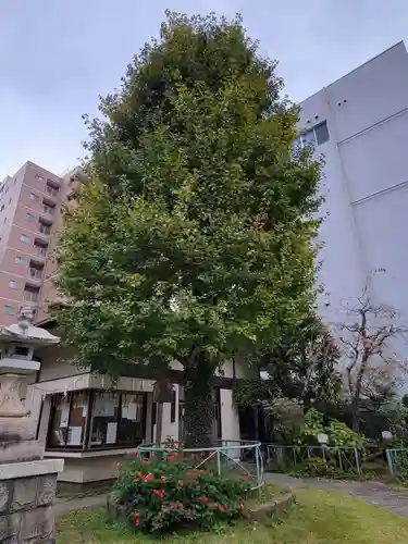 千束稲荷神社のその他建物
