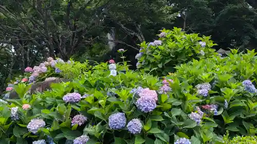 柳谷観音　楊谷寺(京都府)