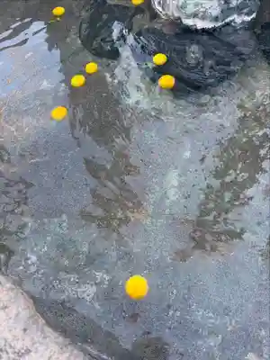 温泉神社〜いわき湯本温泉〜(福島県)