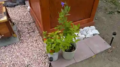 柳彩釧路浅間神社の庭園