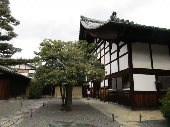 大徳寺(京都府)