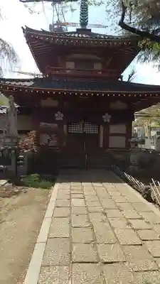 新井薬師(梅照院)の塔