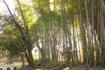 神岡稲荷神社(茨城県)