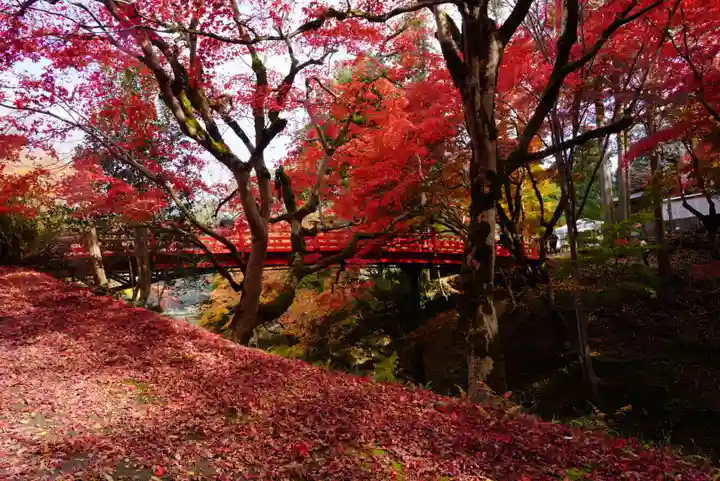 養父神社の自然