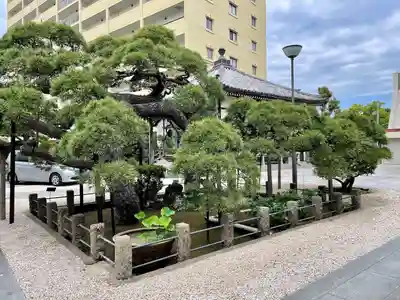 光明寺(千葉県)