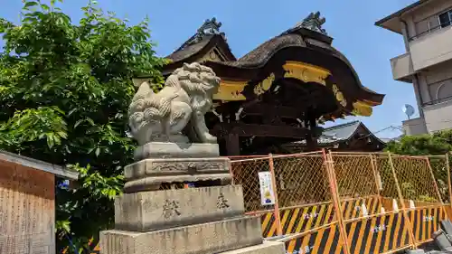 瀧尾神社の狛犬