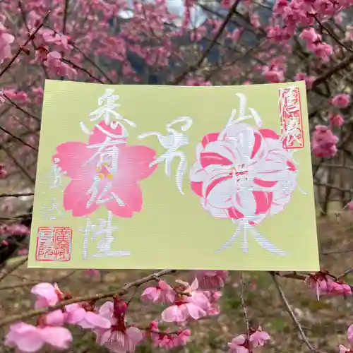 信濃比叡廣拯院の御朱印