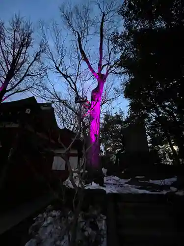 秩父神社(埼玉県)