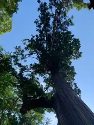 手力雄神社(千葉県)