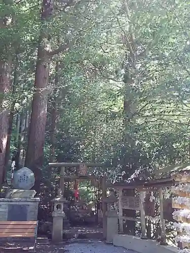荒立神社の自然