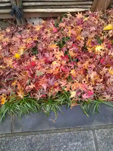 常林寺(宮城県)