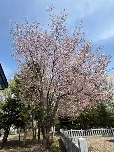 永山神社(北海道)