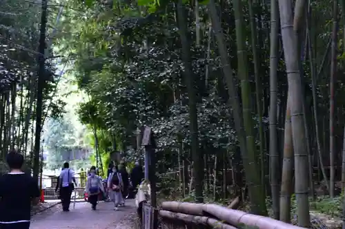 野宮神社の周辺