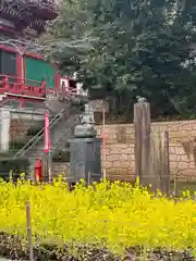 瀧泉寺（目黒不動尊）(東京都)