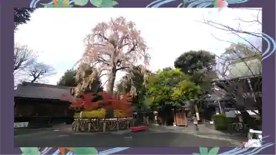 七社神社(東京都)