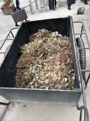 西宮神社(兵庫県)