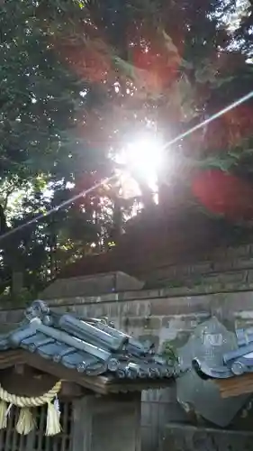 前玉神社のその他建物