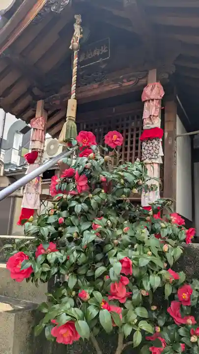 誓願寺(京都府)