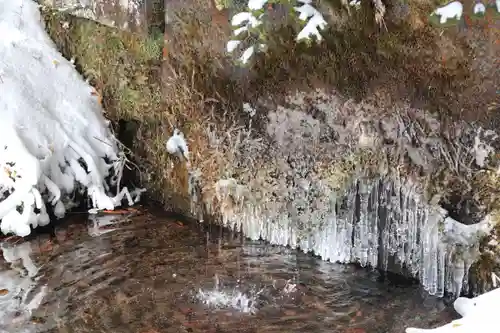 土津神社｜こどもと出世の神さまの自然