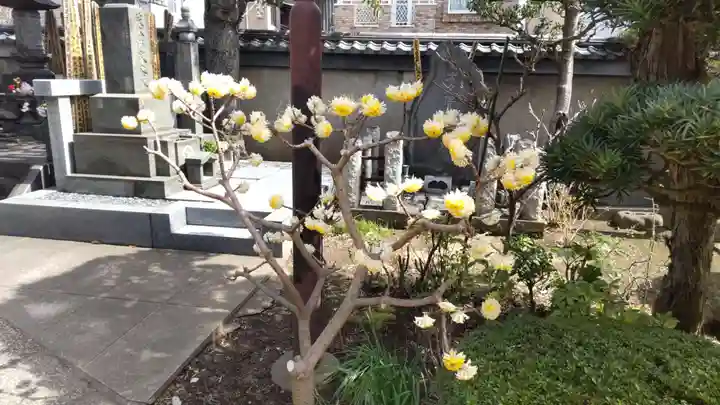 本妙院(東京都)