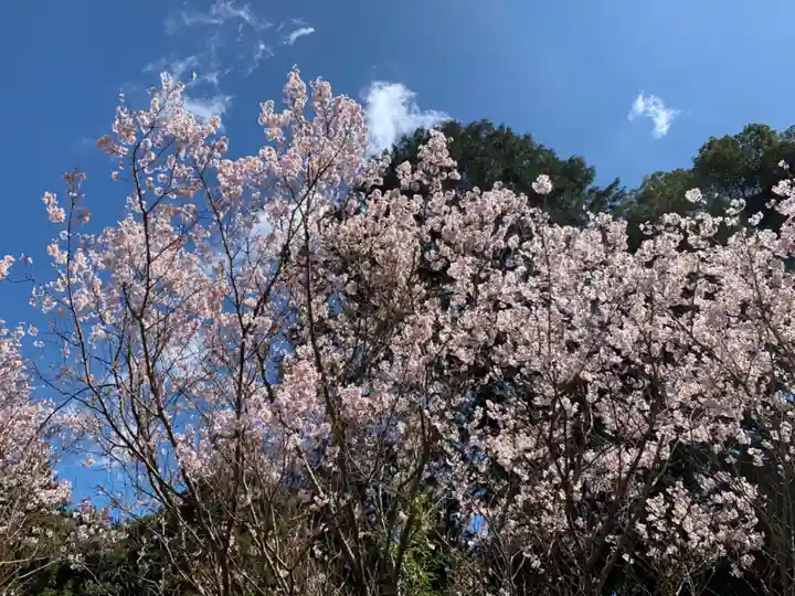 普門寺(切り絵御朱印発祥の寺)の自然