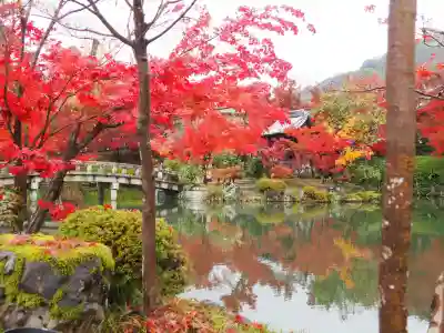 禅林寺(永観堂)(京都府)