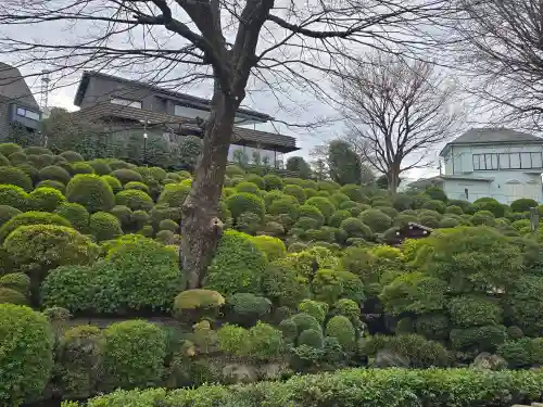 根津神社(東京都)