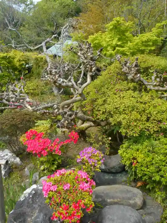 浄光明寺の庭園