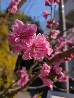 稲荷社(東京都)
