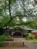 大円寺の本殿・本堂