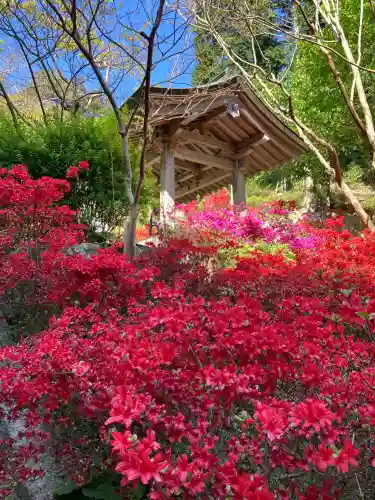 忉利天上寺(兵庫県)