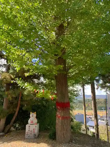 鹿角八坂神社の自然