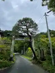 秩父御嶽神社(埼玉県)