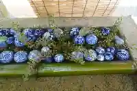 嘉川八幡宮(山口県)