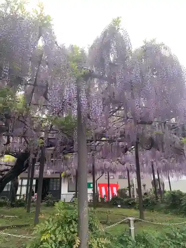 竹鼻別院(岐阜県)