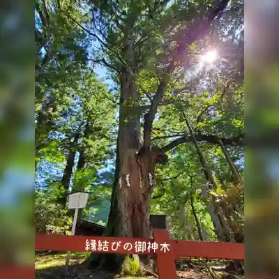 日光二荒山神社(栃木県)