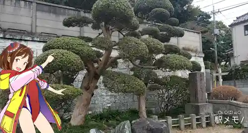 泰福寺の自然