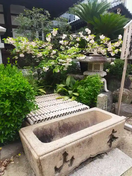 浜本山 源光寺(大阪府)