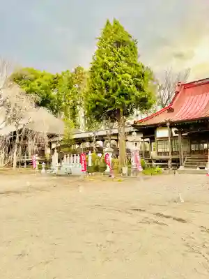 崇真寺(開運犬り切不動尊)の{uncategorized: "未分類", other: "その他", undefined: "問題あり", building: "その他建物", grave: "お墓", sacred_gate: "鳥居", guardian: "狛犬", statue: "像", buddha: "仏像", history: "歴史", nature: "自然", garden: "庭園", animal: "動物", pagoda: "塔", temizu: "手水舎", mountain_gate: "山門・神門", sanctuary: "本殿・本堂", subordinate: "末社・摂社", art: "芸術", scenery: "景色", jizo: "地蔵", ema: "絵馬", goshuin: "御朱印", omikuji: "おみくじ", items: "授与品その他", amulet: "お守り", goshuincho: "御朱印帳", eats: "食事", festival: "お祭り", votive_dance: "神楽", shichigosan: "七五三参", wedding: "結婚式", experience: "体験その他", initially: "初詣", around: "周辺", anti_infection: "感染症対策"}